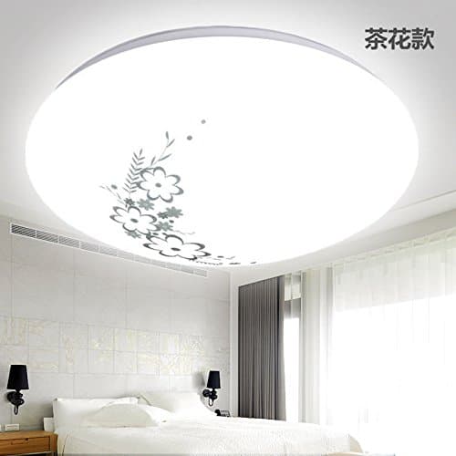 Cttsb ceiling lamp Modern simple creative fashion personalized ceiling light Round led round poncho full white aisle indoor project Camellia 48W-60CM Promise to send remote control
