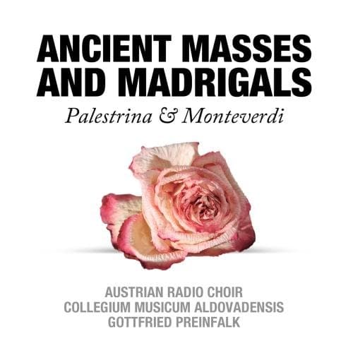 Bundle Mr Just Right Super Seven Ivory And Pjur Original Body Glide Lube - 100ml