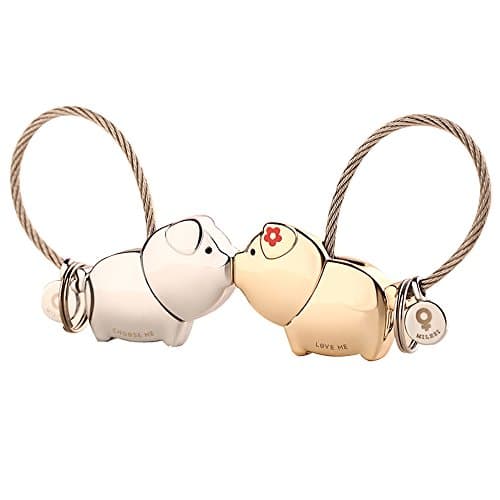 Couple keychain,Car Keychain,Flexible Cable Key Ring Key Chain Valentine's Day Gifts (Pig,Silver and Gold)