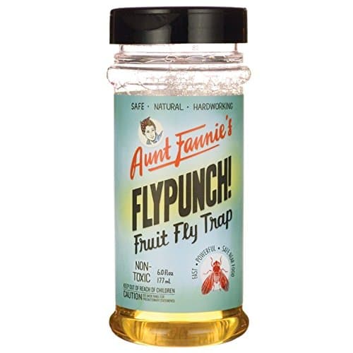 FRUIT FLY TRAP, FLYPUNCH , Pack of 12