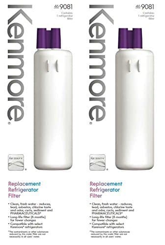 2 Pack Kenmore 469081 replacement refrigerator water filter - 9081