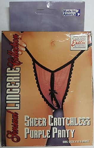 Sheer Crotchless Panty - Purple