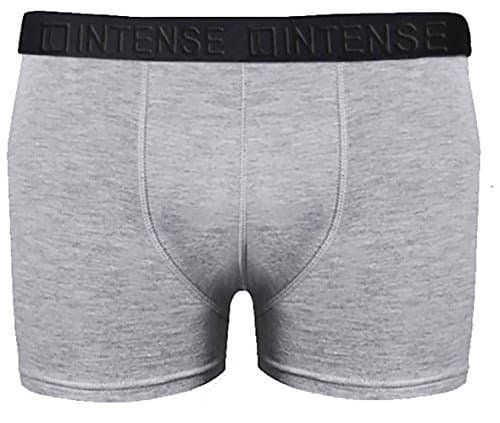 fagussMen's Modal Trunk 3 Pack Grey