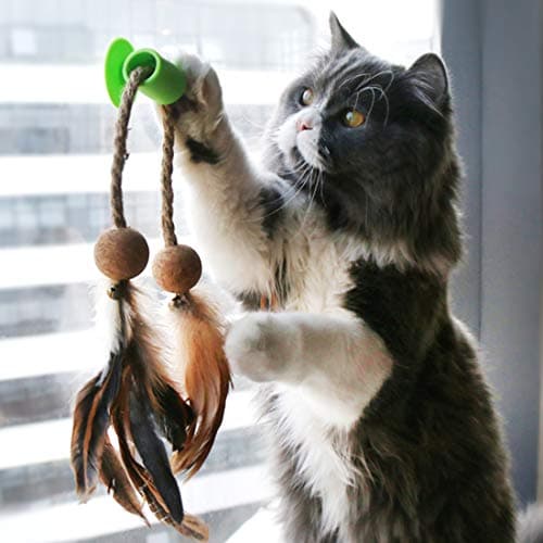 DogLemi Interactive Playing Cat Toy with Catnip Ball& Bell, Feather Teaser Wand Sucker Window Cat Toy