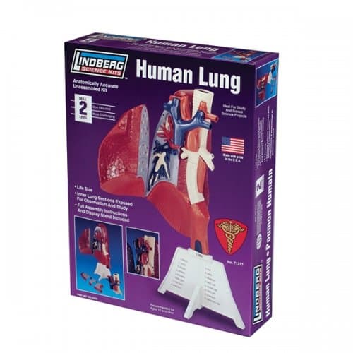 Lindberg Human Lung