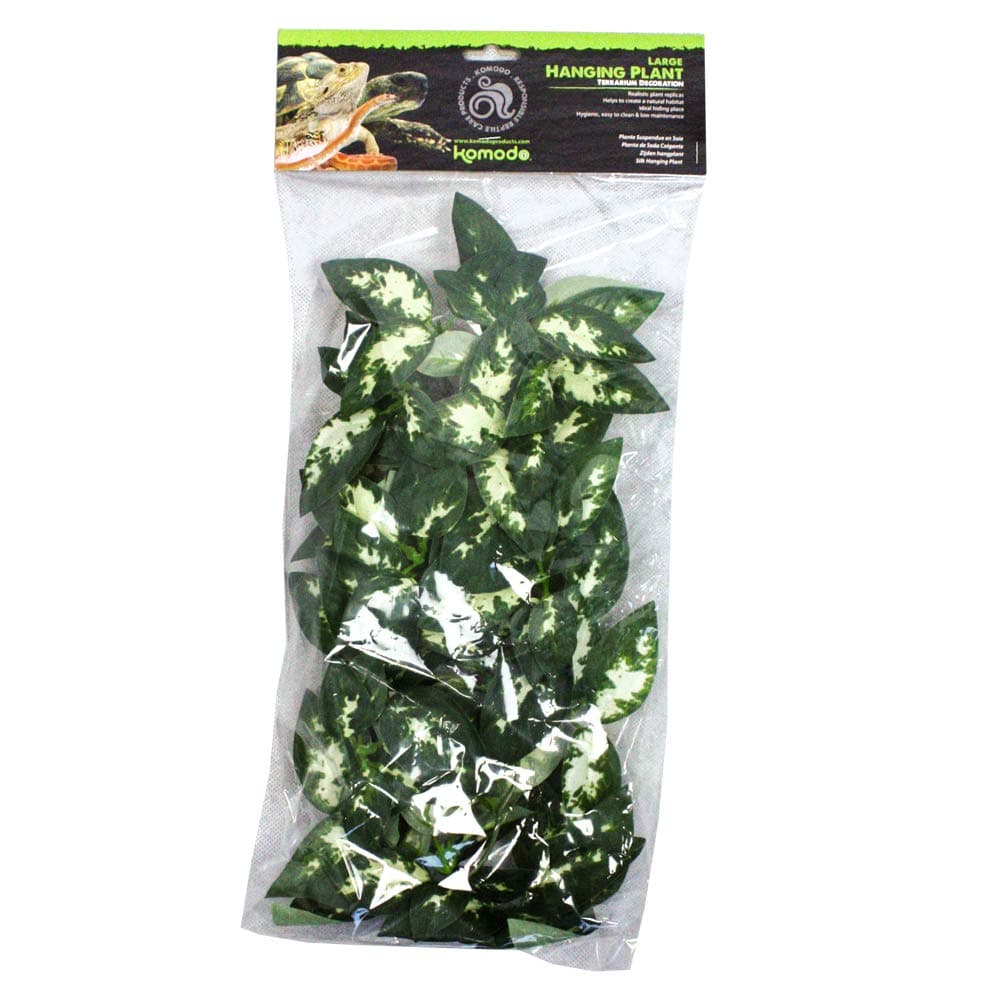 Borneo Hanging Vine 40cm