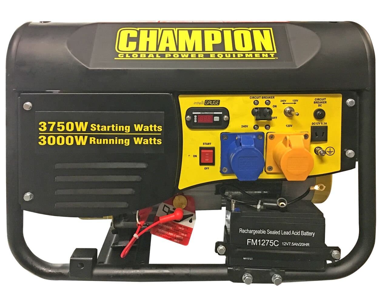 Champion 3500 Watt Generator- CPG4000E1