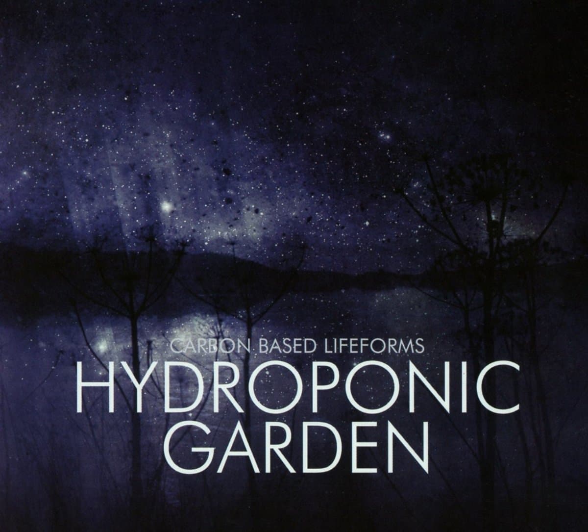 Hydroponic Garden
