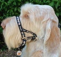 DOGMATIC HEADCOLLAR PADDED CUSHIONED WEBBING PCW - BLACK - SIZE 5