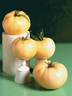 Gebdinsh Garden® Imported White Tomato Vegetables Seeds For Kitchen Gardening (Pack Of 100 Seeds)