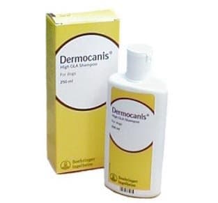Dermocanis High GLA Shampoo 250ml Bottle, Single Item