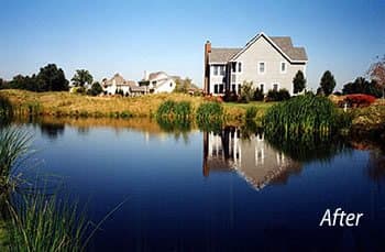 Captain Liquid Copper Algaecide, 1 Gallon EPA-Approved Algae Control for Lakes, Ponds and Reservoirs, Fast-Acting Spray Targets Algae, Chara, Safe for Livestock, Wildlife and Irrigation