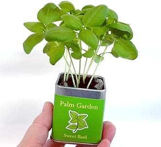 パームガーデン レモンバーム 栽培セット 栽培キット ホームガーデン