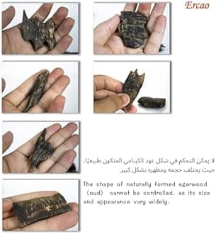 Chinese Natura Kynam Agarwood （Qinan Oud） - Boasts a Distinctly Unique Aroma, Ideal for Home Incense, Meditation & More | Sustainable Harvesting (10g Experience Pack - Sink Grade - Block)