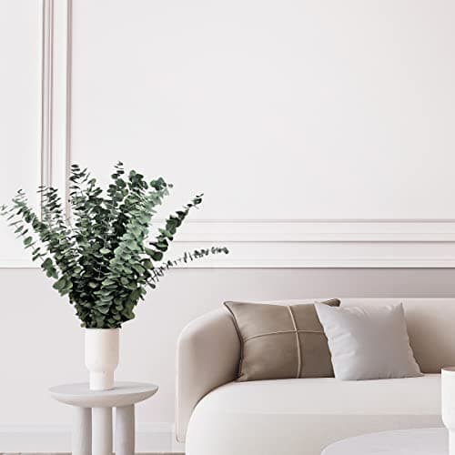 30 PCS Preserved Dried Eucalyptus Stems Bundle, 17" Natural Eucalyptus Leaves, Real Eucalyptus Branches Plant for DIY Shower Spa Wedding Party Home Office Floral Arrangements Decor