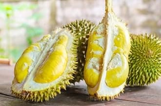 Musang King Durian Seedling Plant, Premium Tropical Fruit Tree for Home Garden, Fast-Growing