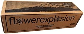 24 Premium Stems - Fresh Rainbow Roses Bouquet - by Flower Explosion