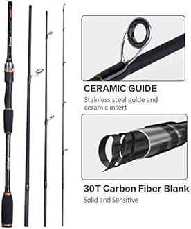 Goture Travel Fishing Rods 4Pcs,Casting/Spinning Rod with Case 6ft-10ft