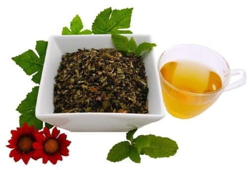 The Green Teahouse Green Tea Samples Moroccan Mint