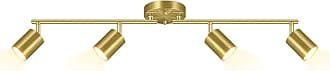 BoostArea Gold LED 4 Light Track Lighting Kit, 4 Way Ceiling Spot Lighting, Flexibly Rotatable Light Head for Kitchen, Living Room, Bedroom, Bulb Not Included