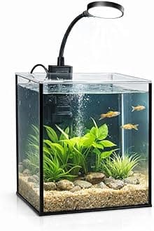LYPHARD AQUARIUMS Mini Aquarium Set Fish Tank Shrimp Tank Snails Tank Planted Tank 1.2 Gallon Aquarium Kit, Small Desktop Fish Tank for Small Aquatic Pets for Beginner
