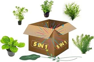 Aquarium Live Water Plants 5 in 1 Combo
