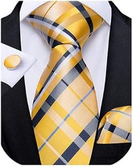 DiBanGu mens Tie Fashion