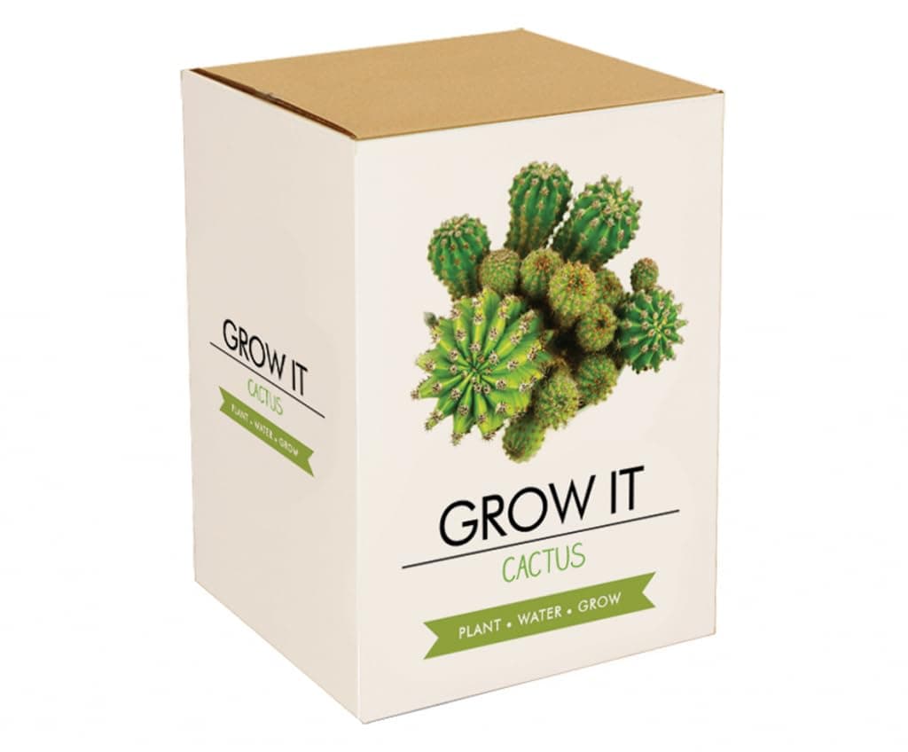 Grow Kit - Cactus Plants