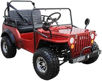 125CC Willys GO Kart | Venom | 125CC COOLSTER GO-Kart for Children, Young Adults | RED