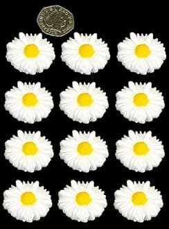 12 x Edible 3D 35mm Daisies Daisy Flower with Coloured Center icing toppers, cake cupcakes decorations (Bespoke Colour)