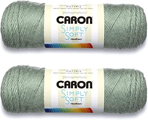 まとめ買い:Caron Simply Soft Yarn Solid (2パック) (ウッドランド)