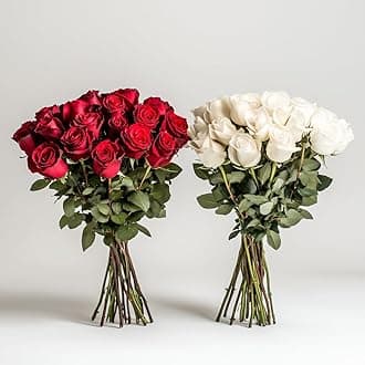 GlobalRose 50 Fresh Cut Red & White Roses - 25 Red & 25 White - Fresh Flowers Bouquet - Stunning Bouquet for Anniversary, Birthday, Valentine's Day or Home Decor - Flowers Delivery Gift