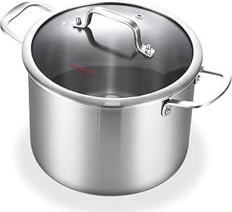 DELARLO Tri-Ply Stainless Steel 8 Quart Stock Pot, Heavy-Duty, All Stove Compatible, Up to 600℉ Soup Pot with Lid, 18/10 Induction Big Stockpot with Lids, Large Stainless Steel Induction for Cooking