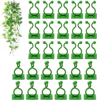 - TASMAX money plant holder plant support clips plant clips for climbers money plant clips for wall support climber support for plants climbing clips for plants hooks for wall creeper climb clip PACK 50