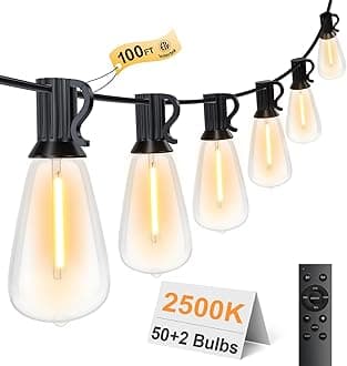 - 100FT Remote Outdoor String Lights for Outside, 50+2 LED Waterproof Shatterproof Edison Dimmable Timer Bulbs, 2500K Warm White Patio Lights for Garden Backyard Yard Hanging Lighting
