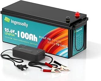 24V 100Ah LiFePO4 Lithium Battery, 8000+ Deep Cycle 24v Trolling Motor Battery 10-Year Lifespan, Upgraded BMS, Max. 2.56kWh Energy LiFePO4 Batteries for RV Solar Power Back up Energy Marine