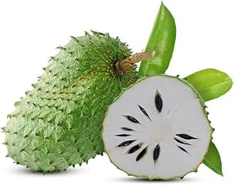 Fresh Soursop from Sri Lanka 500gr