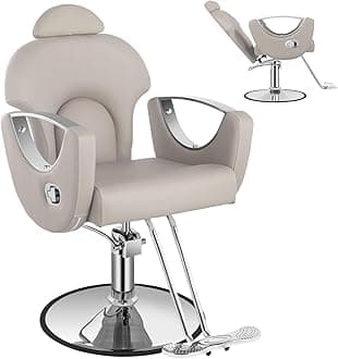 Salon Barber Chair, Reclining Salon Chair for Hair Stylist, Hair Chair with Heavy Duty Hydraulic Pump, 360 Swivel Styling Braiding Hairdresser Chairs for Home Barbershop, Light Gray Sliver