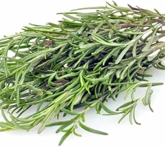 Herb Seed - Rosemary