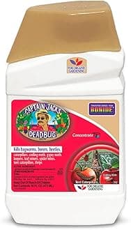 CAPTAIN JACK DEADBUG16OZ