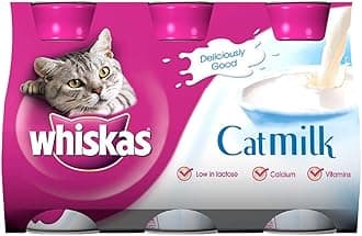 Whiskas Cat Milk 3 Pack