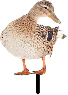 1PC Wild Duck Yard Art Acrylic Outdoor Rooster Decorations, Outdoor Garden Statues Wild Duck Ornaments, Patio Yard Poultry Art for Backyard, Lawn, Pathway, Lawn, Garden Decoration