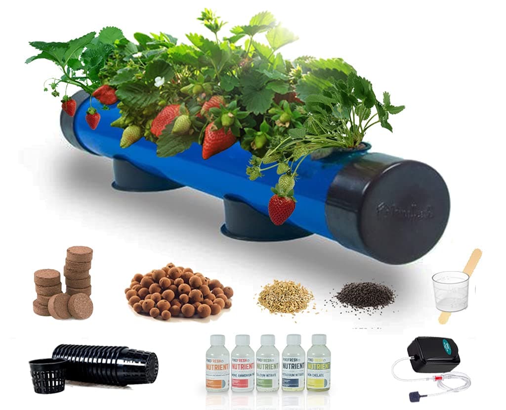 - Hydroponics Kit for Home - PindPipe - 5 Plants, Beginners Hydroponic System - Reusable - for Indoor/Outdoor hydroponics - Seeds Included (Blue)