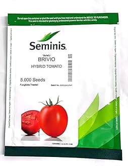 Brivio Hybrid Tomato Seeds, 5000 Count, High Yield Variety
