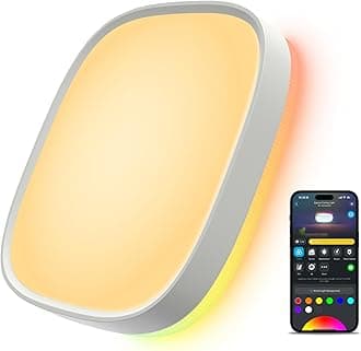 Smart Ceiling Light, RGBIC LED Square Ceiling Light Fixture Works with Matter, 2400LM Flush Mount Light Fixture, DIY Colors, 2700K-6500K Dimmable for Bedroom, Living Room, 12 Inch, 1 Pack