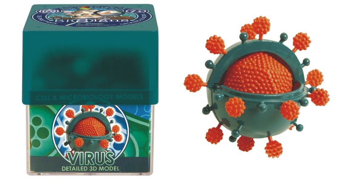 TEDCO Ein-O Science Bio Signs Virus Games