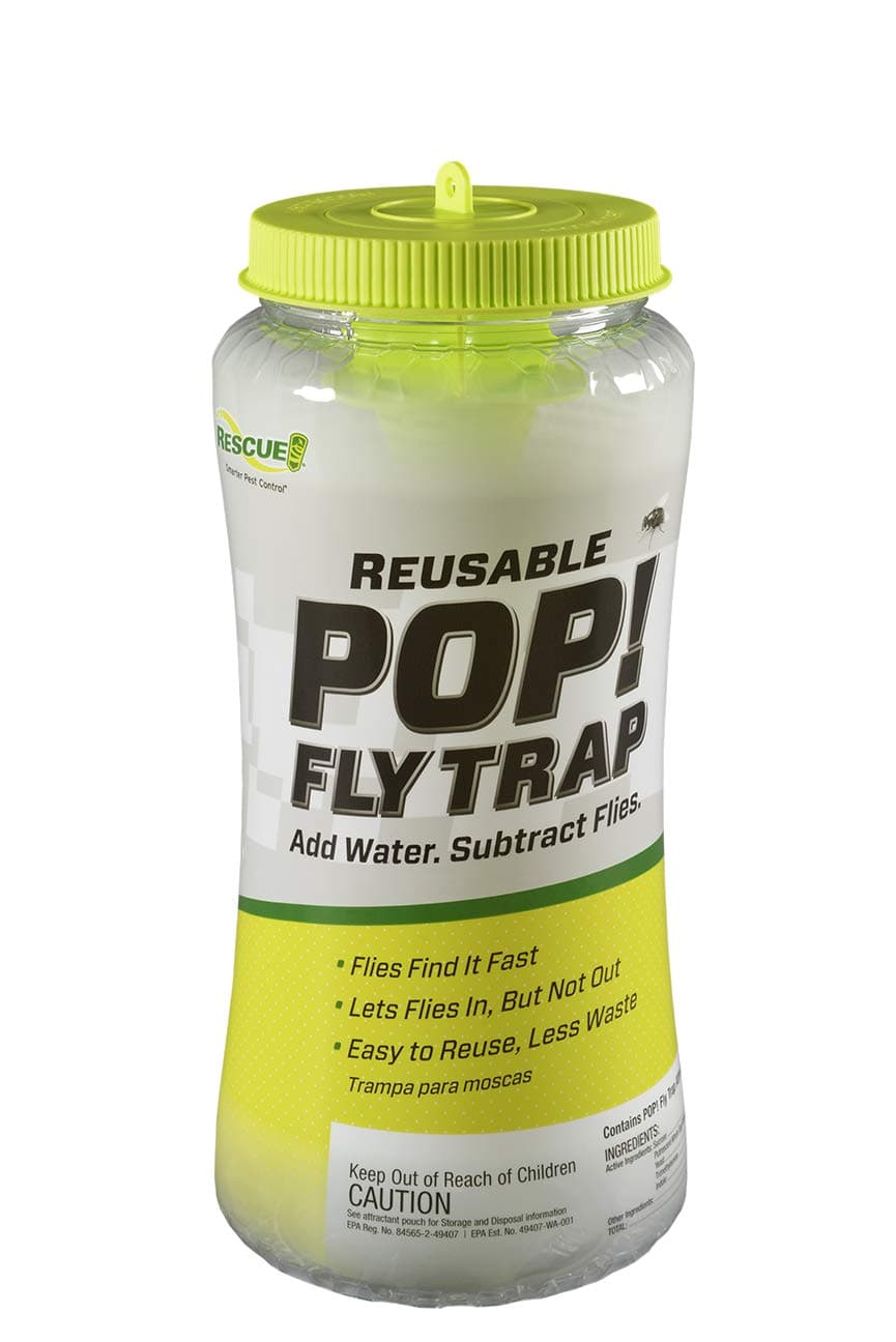 Rescue PFTR-BB8 Reusable POP Fly Trap