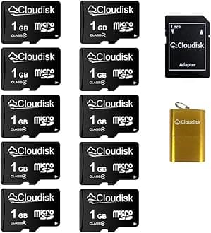 Pack of 10 Micro SD Card 1GB Flash Memory Card C4 with SD Adapter, Card Reader (1GB)