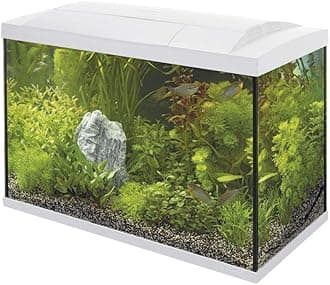 Superfish Start 70 Aquarium - White