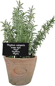 Esschert Design Artificial Herb Plant, Thyme, Large